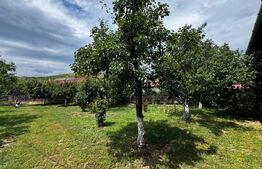 Casă spațioasă cu 4 camere, 150 mp, pivniță și teren de 1.144 mp, zona Sard