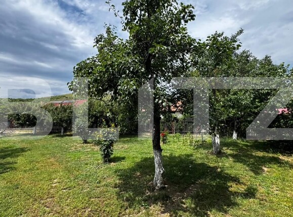 Casa de vânzare 4 camere Sard - 197537CV | BLITZ Alba Iulia | Poza12