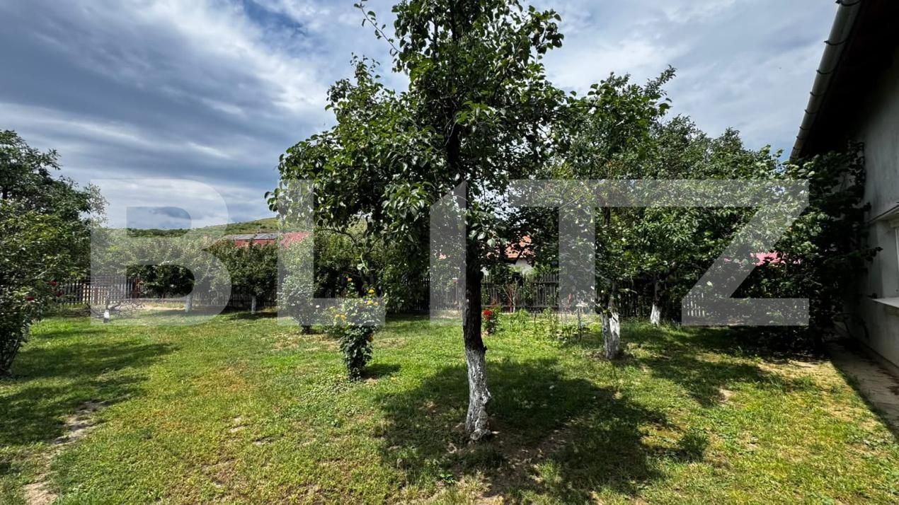 Casa de vânzare 4 camere Sard - 197537CV | BLITZ Alba Iulia | Poza12
