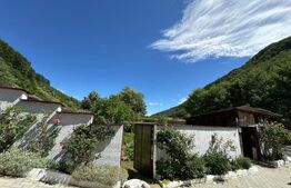 Casă cu potențial, 3 camere, anexă, gradina, zona Cugir