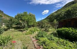 Casă cu potențial, 3 camere, anexă, gradina, zona Cugir
