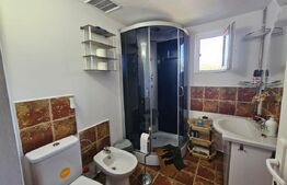 Cabană din lemn 2017, 4 dormitoare, 110 mp, Luncile Prigoanei