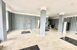 4 garsoniere,1 apartament regim hotelier si restaurant,Blaj