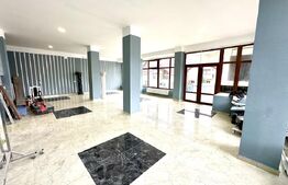 4 garsoniere,1 apartament regim hotelier si restaurant,Blaj