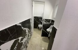4 garsoniere,1 apartament regim hotelier si restaurant,Blaj