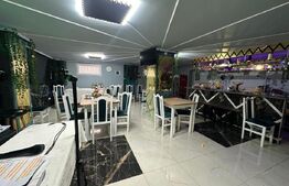 4 garsoniere,1 apartament regim hotelier si restaurant,Blaj