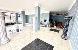 4 garsoniere,1 apartament regim hotelier si restaurant,Blaj