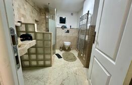 4 garsoniere,1 apartament regim hotelier si restaurant,Blaj