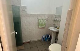 Spatiu comercial cu 4 camere, 110 mp, Alba Iulia