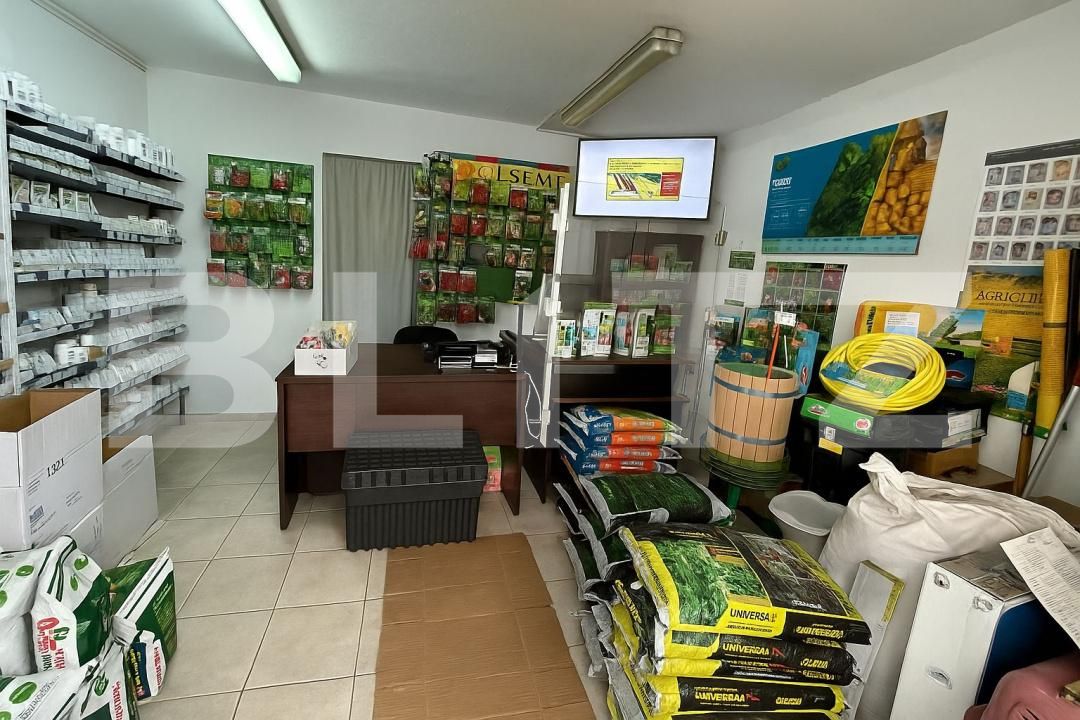 Spațiu comercial de vânzare Cetate - 197963SVC | BLITZ Alba Iulia | Poza2