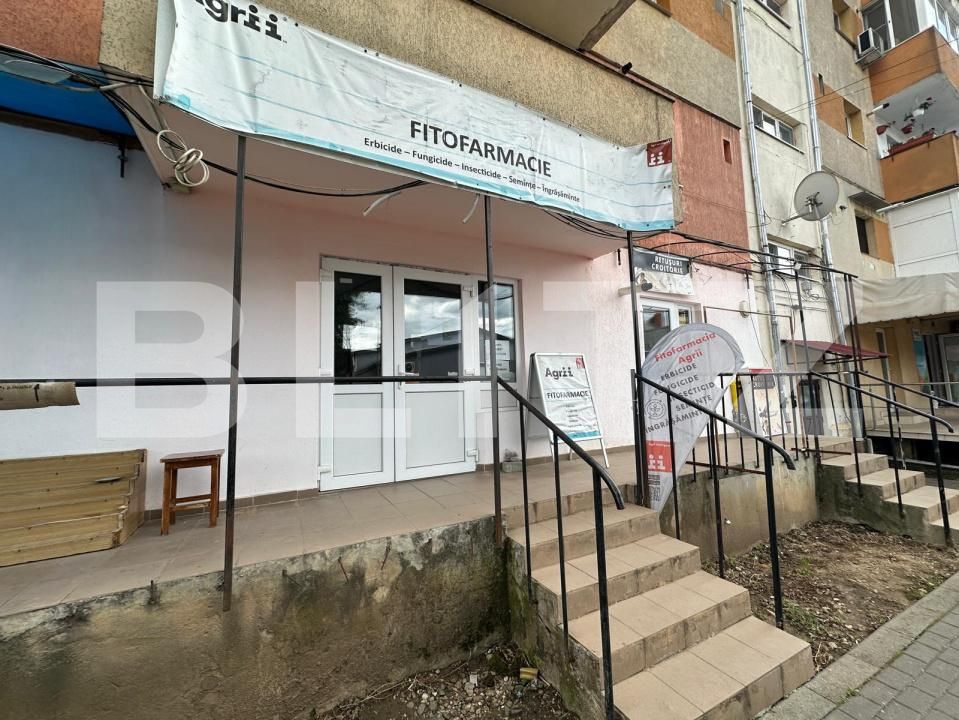 Spațiu comercial de vânzare Cetate - 197963SVC | BLITZ Alba Iulia | Poza10