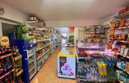 Spațiu comercial 2 corpuri, curte 500 mp și terasă 220 mp – zona Gară