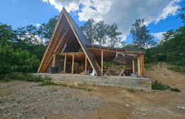 Cabană la roșu în Comuna Lupșa – Ideală pentru casă de vacanță sau investiție