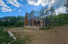 Cabană la roșu în Comuna Lupșa – Ideală pentru casă de vacanță sau investiție