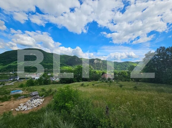 Casa de vânzare 4 camere Lupsa - 198007CV | BLITZ Alba Iulia | Poza12