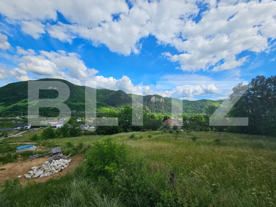 Casa de vânzare 4 camere Lupsa - 198007CV | BLITZ Alba Iulia | Poza12