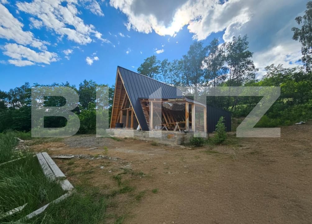 Casa de vânzare 4 camere Lupsa - 198007CV | BLITZ Alba Iulia | Poza6
