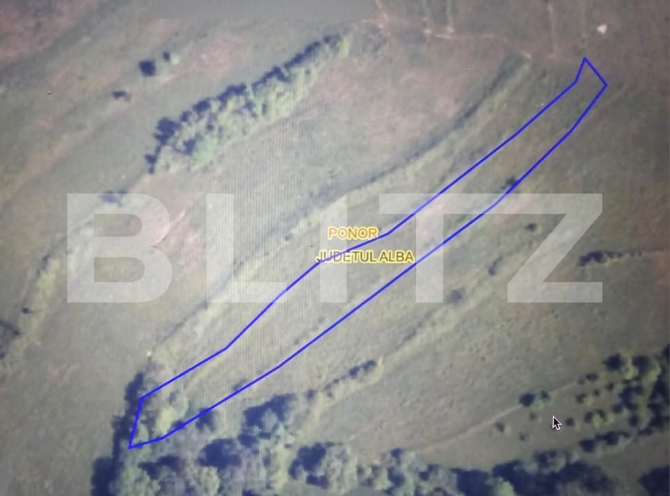 Teren de vânzare Ponor - 198009TV | BLITZ Alba Iulia | Poza3