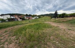 Teren intravilan 3.624 mp, zona Micesti