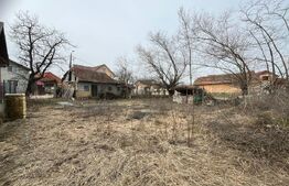   DE VANZARE 2 PARCELE de teren intravilan , Micesti