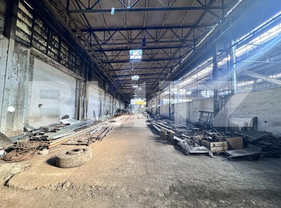 Spațiu industrial de închiriat Bărăbanț - 198369SII | BLITZ Alba Iulia | Poza1