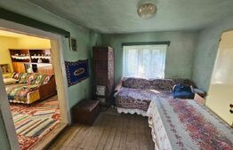 Casă tradițională, investiție potențial de dezvoltare, 65 mp, Căpâlna, Săsciori