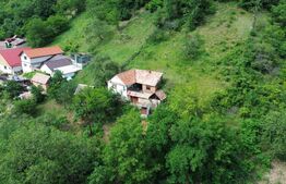 Casă tradițională, investiție potențial de dezvoltare, 65 mp, Căpâlna, Săsciori