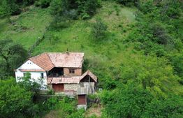 Casă tradițională, investiție potențial de dezvoltare, 65 mp, Căpâlna, Săsciori