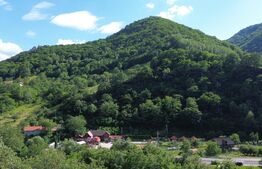 Casă tradițională, investiție potențial de dezvoltare, 65 mp, Căpâlna, Săsciori