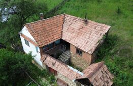 Casă tradițională, investiție potențial de dezvoltare, 65 mp, Căpâlna, Săsciori