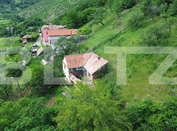 Casa de vânzare 3 camere Capalna - 198456CV | BLITZ Alba Iulia | Poza5