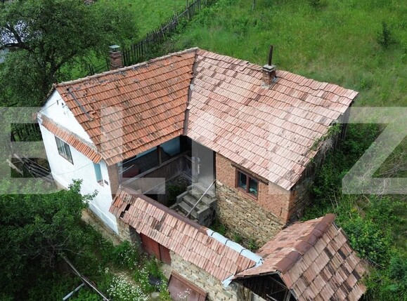 Casa de vânzare 3 camere Capalna - 198456CV | BLITZ Alba Iulia | Poza3