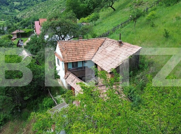 Casa de vânzare 3 camere Capalna - 198456CV | BLITZ Alba Iulia | Poza1