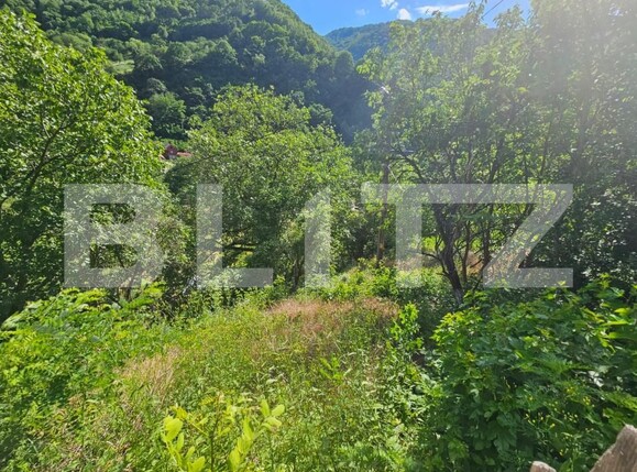 Casa de vânzare 3 camere Capalna - 198456CV | BLITZ Alba Iulia | Poza18