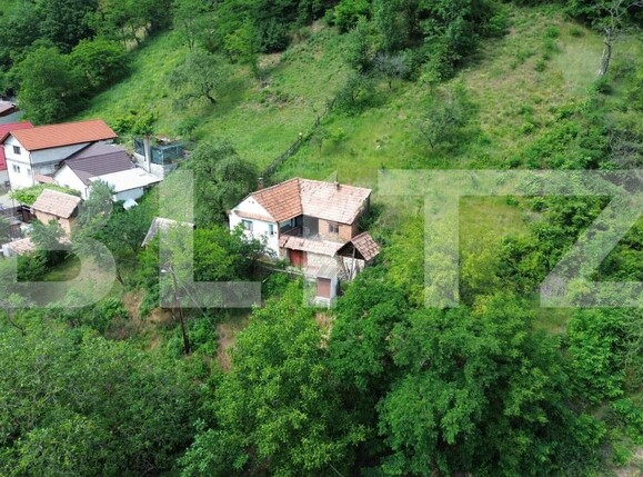 Casa de vânzare 3 camere Capalna - 198456CV | BLITZ Alba Iulia | Poza4