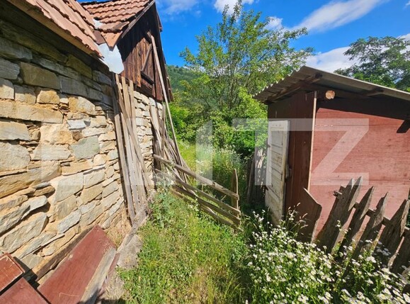 Casa de vânzare 3 camere Capalna - 198456CV | BLITZ Alba Iulia | Poza14