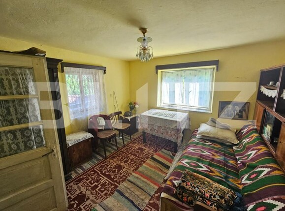 Casa de vânzare 3 camere Capalna - 198456CV | BLITZ Alba Iulia | Poza13