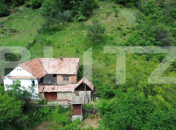 Casa de vânzare 3 camere Capalna - 198456CV | BLITZ Alba Iulia | Poza2