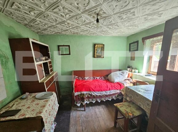 Casa de vânzare 3 camere Capalna - 198456CV | BLITZ Alba Iulia | Poza11