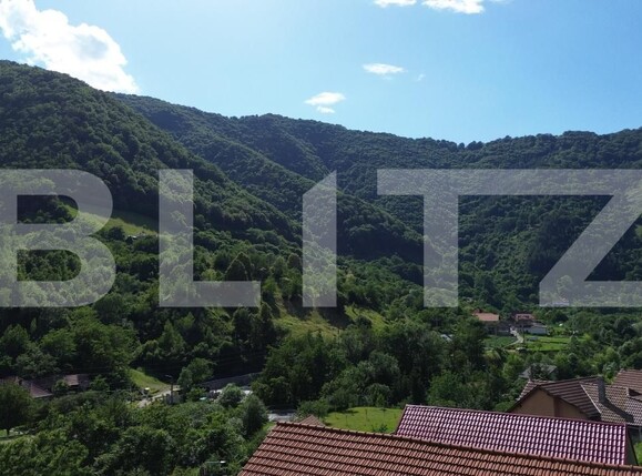 Casa de vânzare 3 camere Capalna - 198456CV | BLITZ Alba Iulia | Poza6