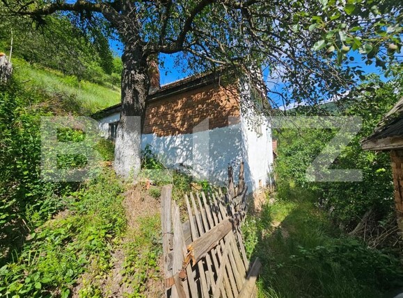 Casa de vânzare 3 camere Capalna - 198456CV | BLITZ Alba Iulia | Poza15