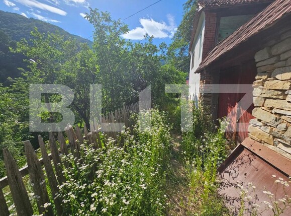 Casa de vânzare 3 camere Capalna - 198456CV | BLITZ Alba Iulia | Poza17