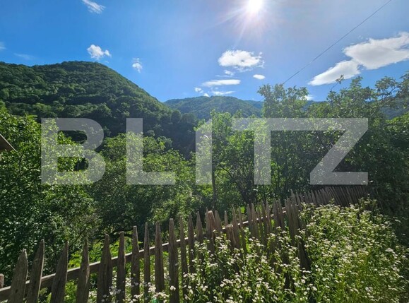 Casa de vânzare 3 camere Capalna - 198456CV | BLITZ Alba Iulia | Poza16