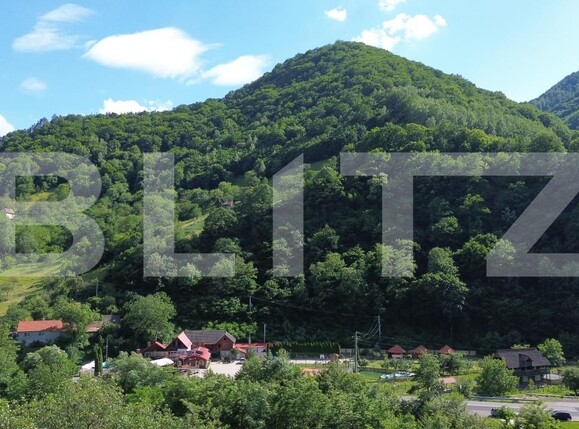 Casa de vânzare 3 camere Capalna - 198456CV | BLITZ Alba Iulia | Poza7