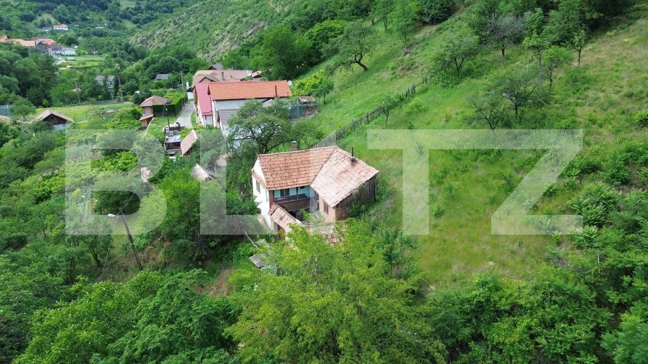 Casa de vânzare 3 camere Capalna - 198456CV | BLITZ Alba Iulia | Poza5