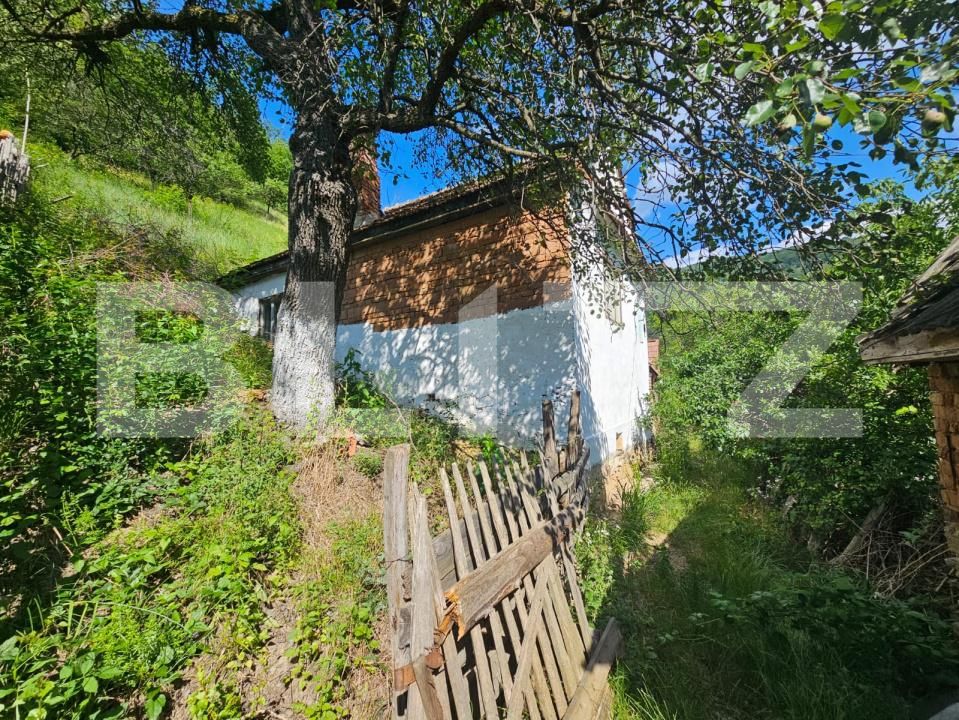 Casa de vânzare 3 camere Capalna - 198456CV | BLITZ Alba Iulia | Poza15