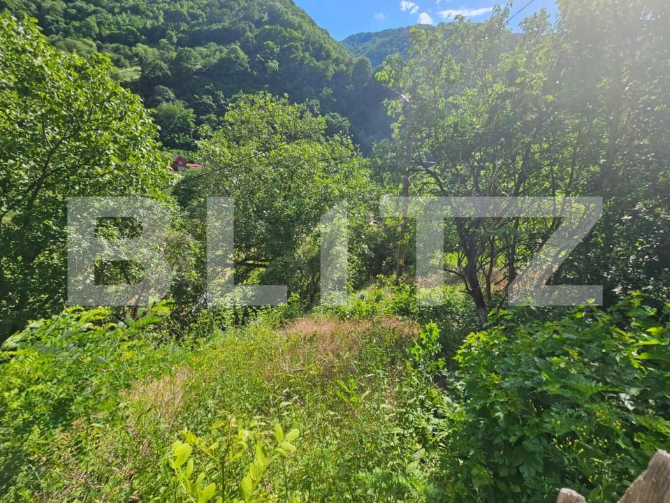 Casa de vânzare 3 camere Capalna - 198456CV | BLITZ Alba Iulia | Poza18