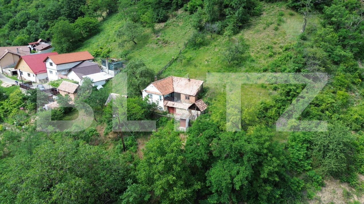 Casa de vânzare 3 camere Capalna - 198456CV | BLITZ Alba Iulia | Poza4