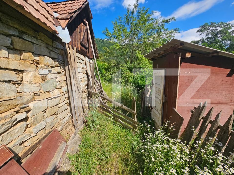 Casa de vânzare 3 camere Capalna - 198456CV | BLITZ Alba Iulia | Poza14