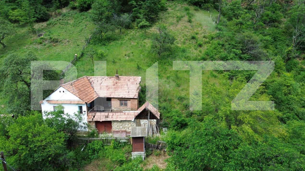 Casa de vânzare 3 camere Capalna - 198456CV | BLITZ Alba Iulia | Poza2